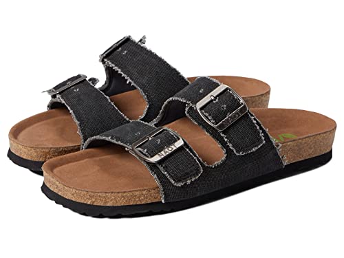 Black Canvas