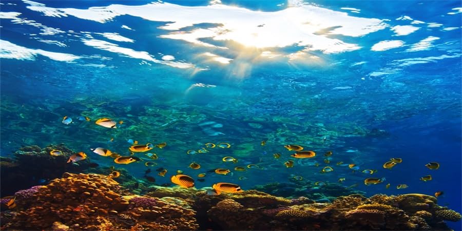 Underwater 1