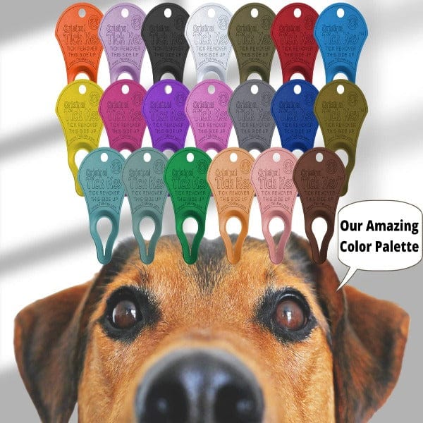 Original TickKey - Safe & Easy Tick Removal Tool for Dogs, Cats & Humans - Perfect for Hiking, Camping & Outdoor Adventures