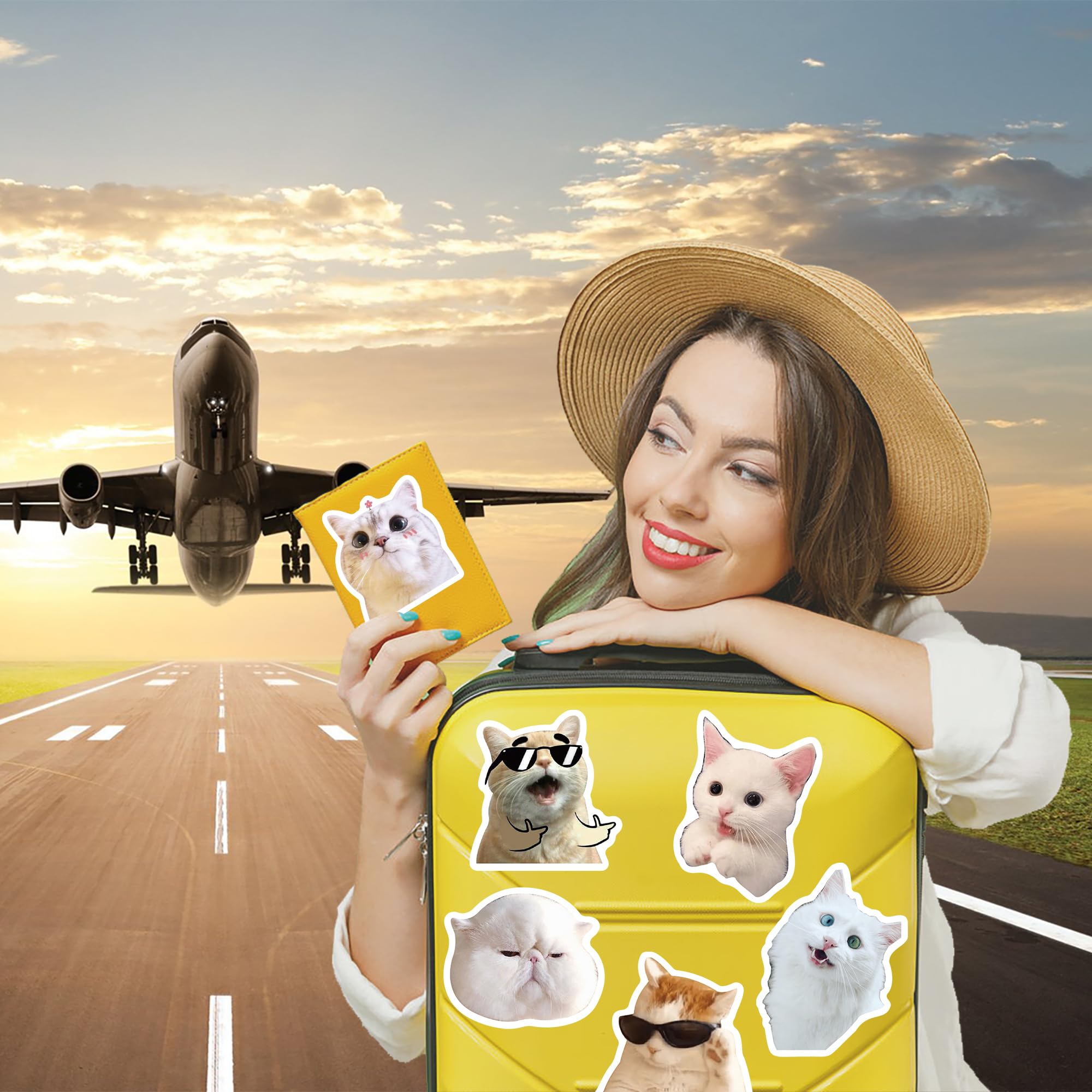 100 Pcs Funny Cat Meme Stickers - Cute Vinyl Waterproof Stickers for Adults & Teens - Perfect for Laptops, Water Bottles, Notebooks & DIY Crafts