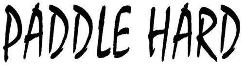 Premium Die-Cut Vinyl Paddle Hard Sticker for Kayak, Canoe, Boat, and Rowing - Waterproof Decal for Windows, Cars, Trucks, Toolboxes, Laptops, MacBooks - Perfect for Outdoor Enthusiasts & Water Sports Gear