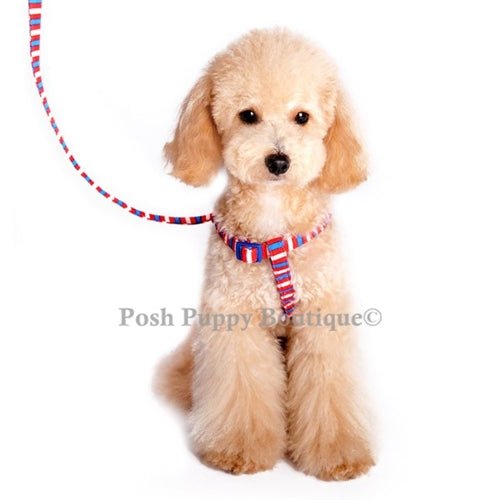 EasyCLICK No-Pull Dog Harness with Fun Stripes - Adjustable Pet Vest for Small to Medium Dogs - Perfect for Walking, Training & Outdoor Adventures