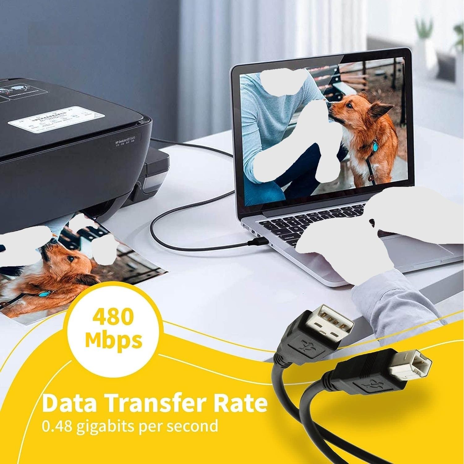 High-Speed USB Printer Cable A Male to B Male - 1ft USB 2.0 Scanner Cord for Canon, HP, Lexmark, Dell Printers - Durable Office & Home Printing Accessory for Documents, Photos & Labels