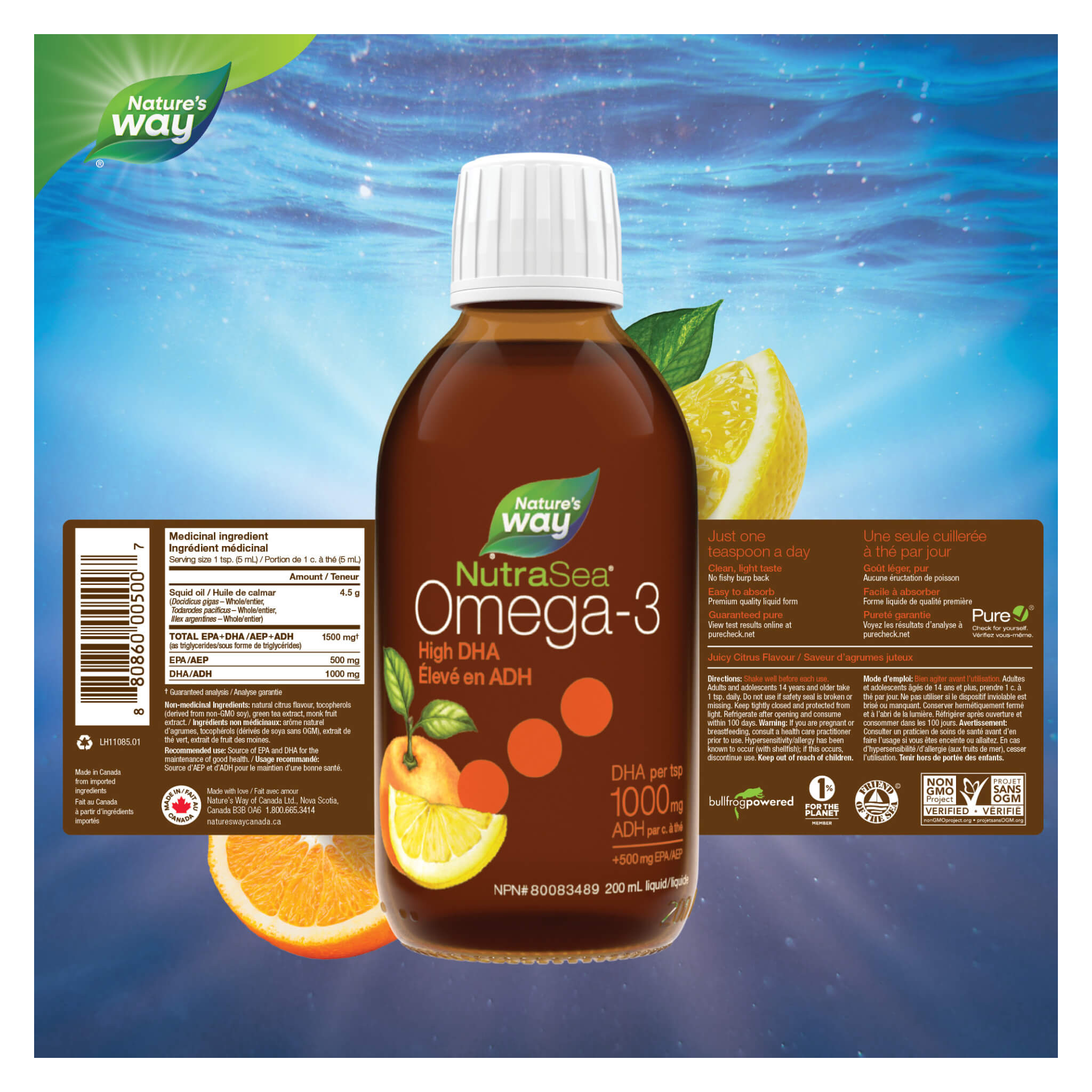 NutraSea DHA (Squid) High DHA Omega-3 Liquid Supplement - Juicy Citrus Flavor - Supports Brain, Heart & Eye Health - Perfect for Adults & Kids Daily Wellness Routine