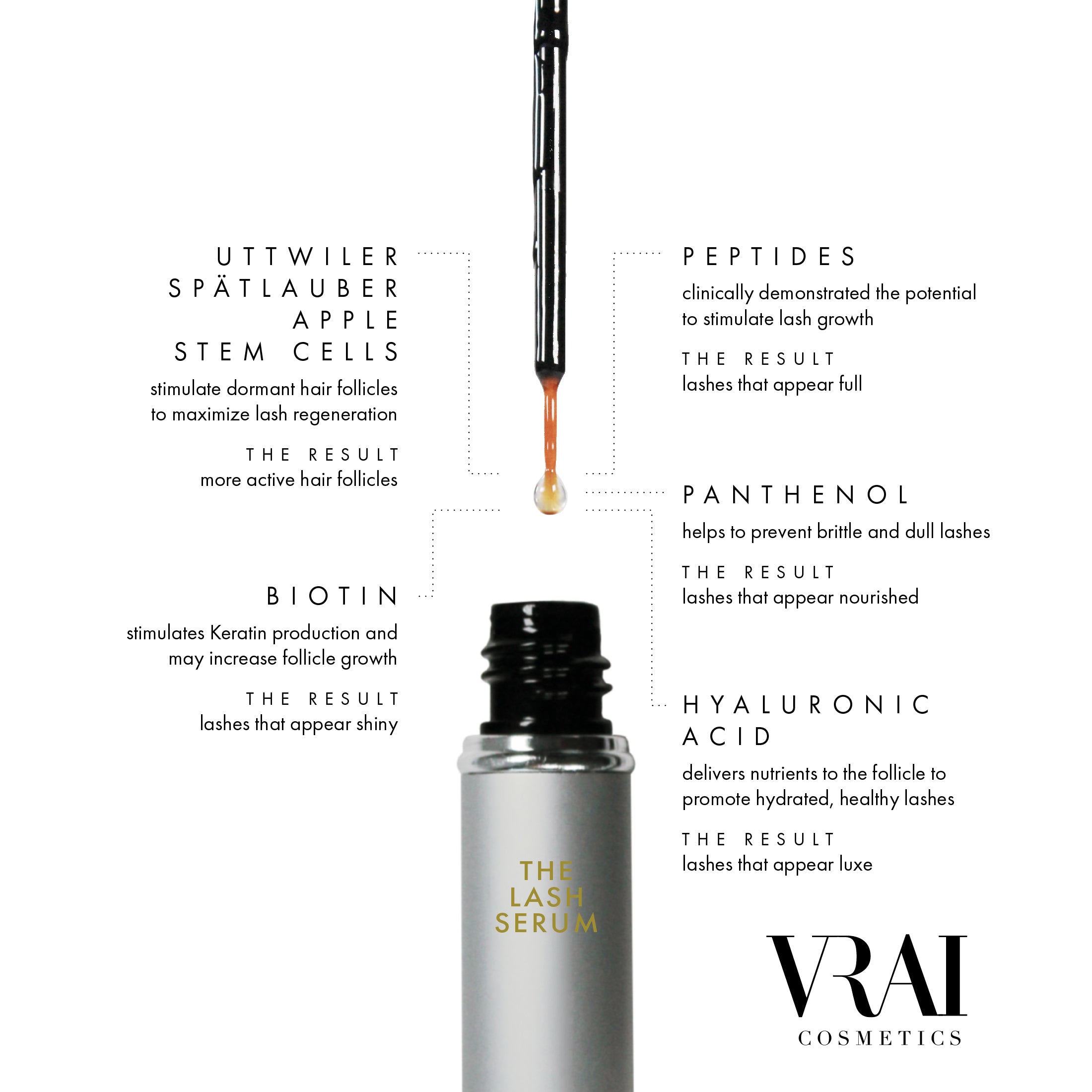Best Eyelash & Eyebrow Growth Serum for Longer, Thicker Lashes & Brows – Natural & Effective Lash Enhancer for Women & Men – Perfect for Daily Use & Nighttime Routine