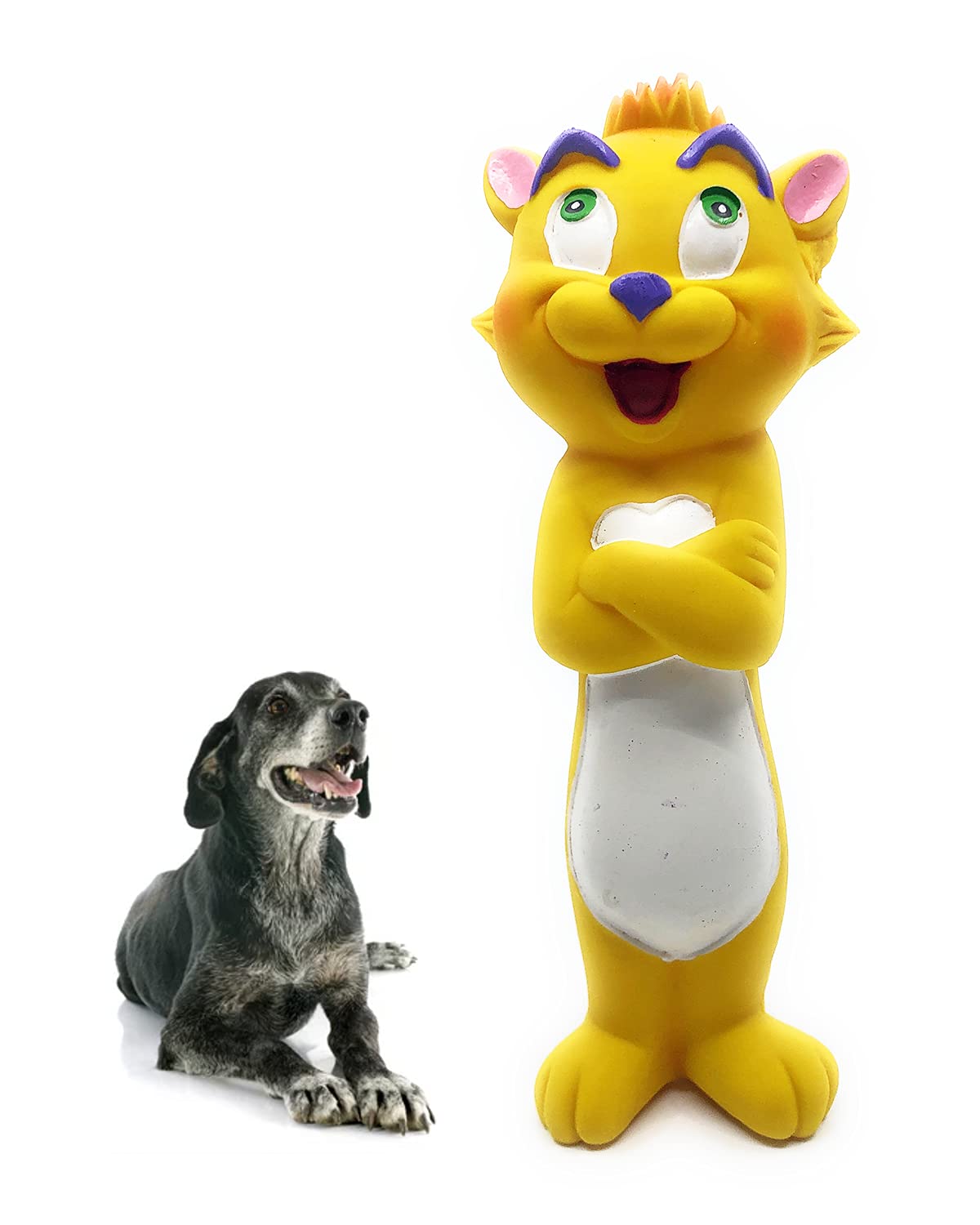 Durable Squeaky Dog Toys for Senior Dogs - Soft Natural Rubber (Latex) Chew Toy for Medium & Large Older Dogs - Safe Pet Toy Meets Baby Product Standards - Perfect for Elderly Dog Playtime & Dental Health