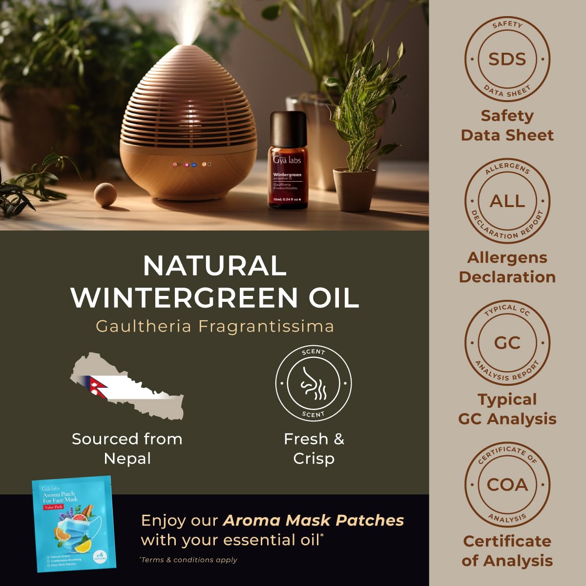 Gya Labs 100% Pure Wintergreen Essential Oil - 0.34 Fl Oz Natural Aromatherapy Oil for Diffusers, Skin Care, Hair Care, Candle Making & Massage - Refreshing Crisp Woodsy Scent - Perfect for Relaxation, Stress Relief & Home Fragrance