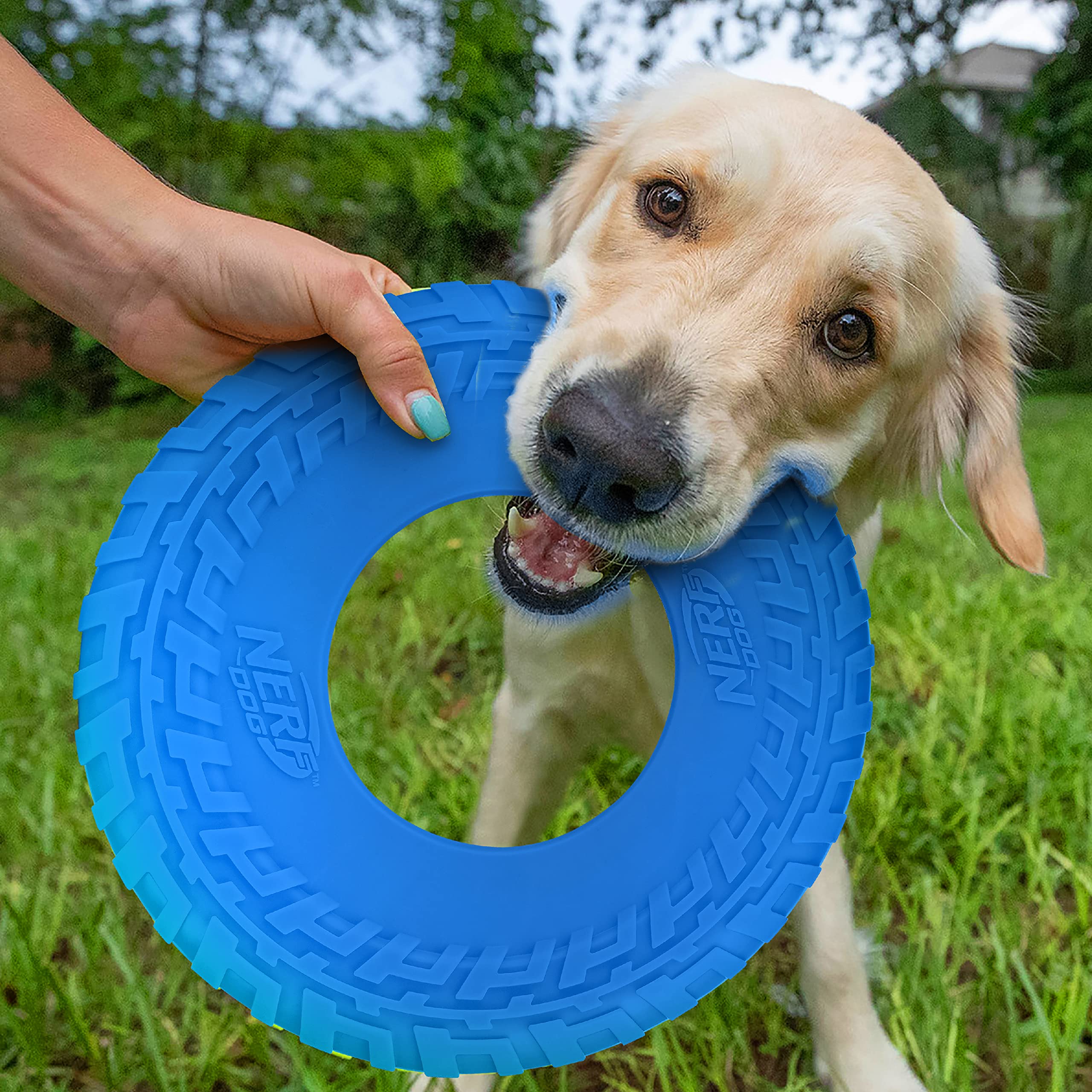 Nerf Dog Tire Flyer - 10 Inch Durable Rubber Flying Disc Dog Toy for Medium & Large Dogs - Blue - Perfect for Outdoor Fetch, Beach Play & Backyard Fun