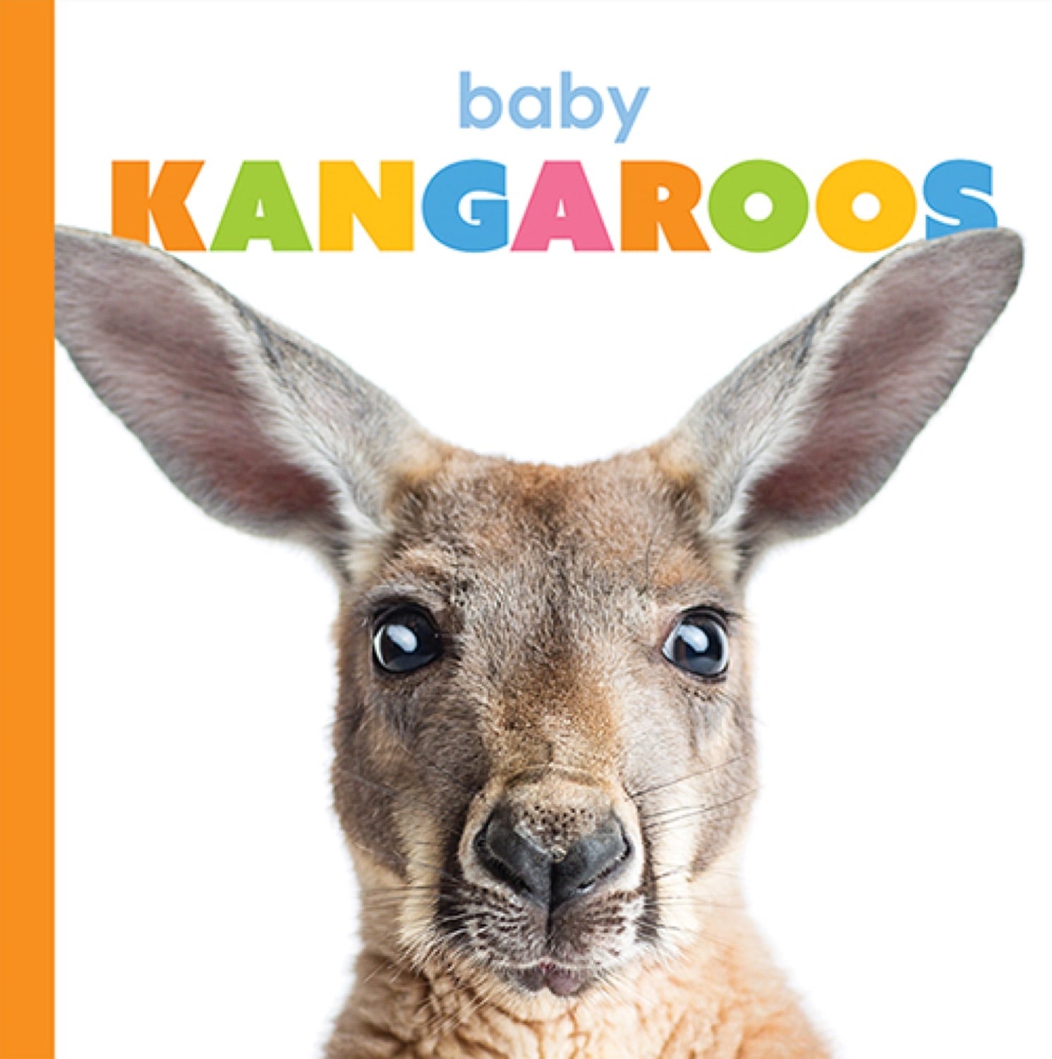 Baby Kangaroos Book - ISBN 978-1-64026-249-2 | Children's Animal Picture Book for Early Learning & Bedtime Stories