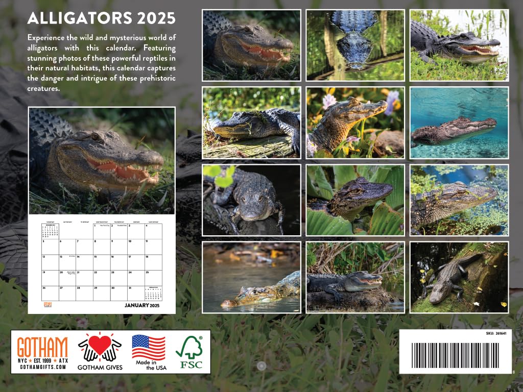 2025 Alligator Wall Calendar - 12 Month Large Print Planner | American Made | Perfect for Home, Office & Classroom Decor