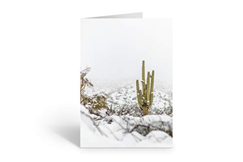 Winter Saguaro