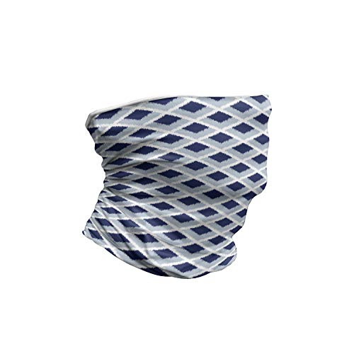 Blue Toned Ikat Modern