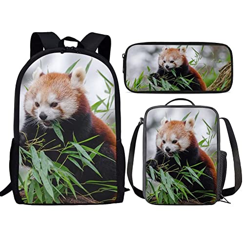 Red Panda Eating