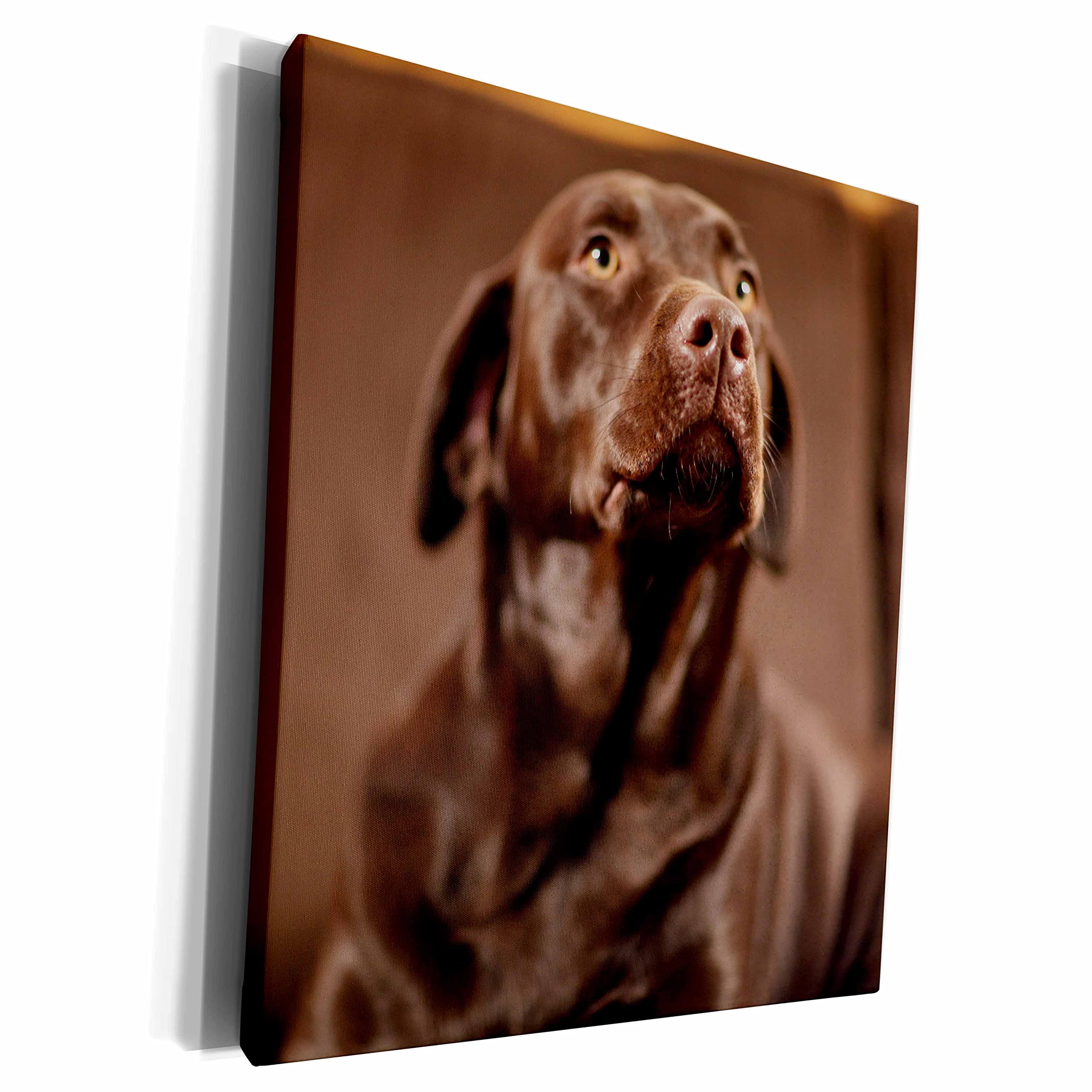 3D Rose Museum Grade Canvas Wrap - High-Quality Multicolor Art Print for Home & Office Decor | Perfect for Living Room, Bedroom, or Gallery Wall Display