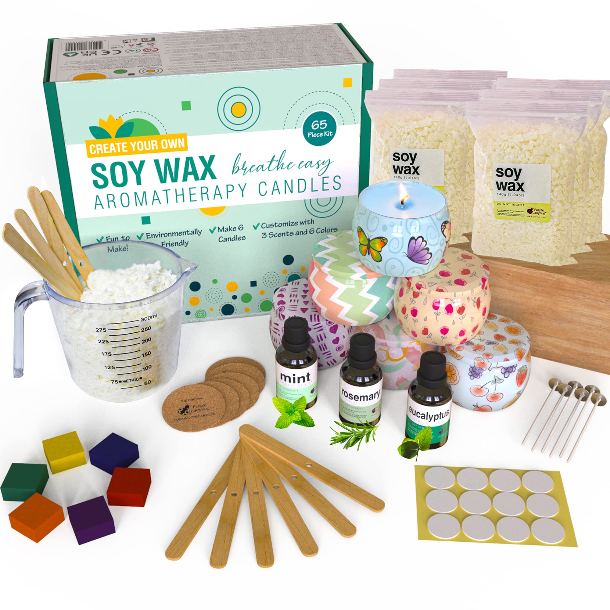 DIY Soy Candle Making Kit for Adults & Teens - Purple Ladybug Scented Candle Craft with Eucalyptus, Rosemary & Peppermint - Perfect for Home Decor, Relaxation & Gifts (Mother's Day, Birthday, Christmas) - Beginner Friendly Candle Making Supplies