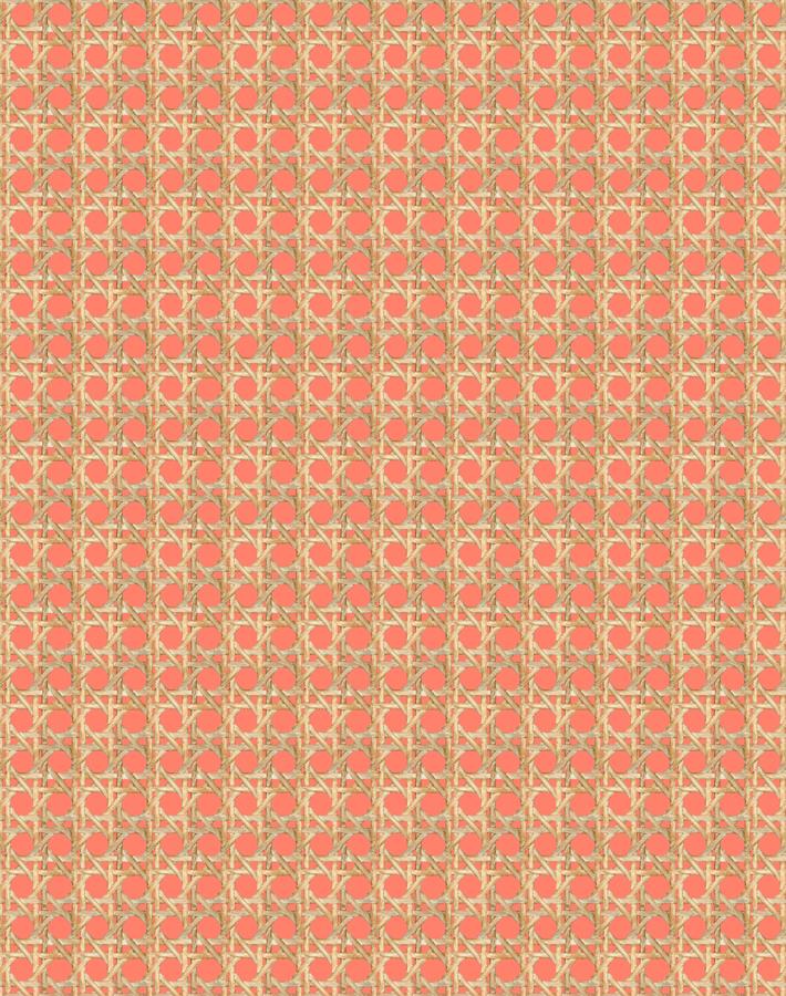 Wallshoppe Faux Caning Wallpaper - Watermelon Pattern Peel and Stick Wallpaper for Bedroom, Living Room, and Bathroom Decor