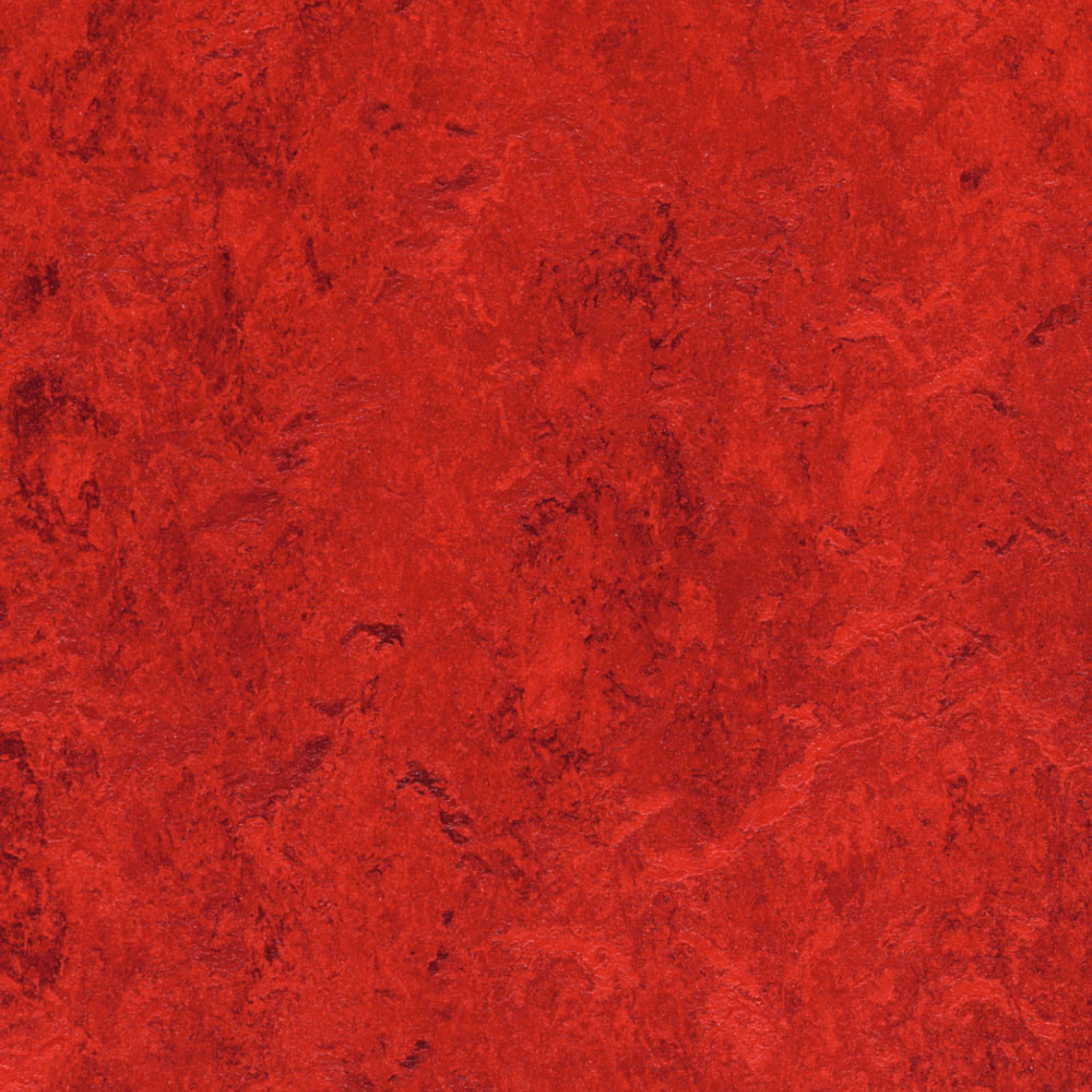Forbo Marmoleum CinchLoc Seal Laminate Flooring Tiles - 12x12 Inch Eco-Friendly Squares for Kitchen, Bathroom & High-Traffic Areas