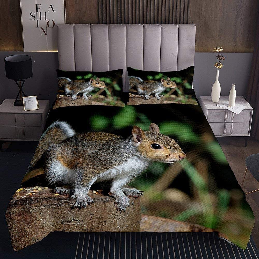 Premium King Size Squirrel & Woods Themed Bedding Set - Furry Mouse Print Comforter Cover with 2 Pillowcases (3-Piece Wildlife Rustic Country Style Duvet Set) for Boys & Girls Bedroom Decor | Cozy Twin/Queen Size Home Textile Gift for Nature Lovers, Cabin Retreats & Wildlife-Themed Nurseries