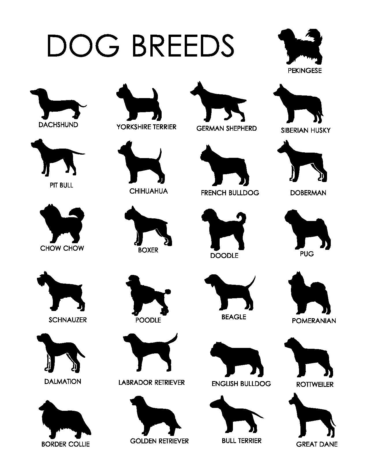 Personalized Laser Engraved Dog Breed Slate Coasters - Great Dane Design | Unique Pet Lover Gift for Home Bar, Office Desk or Coffee Table Decor