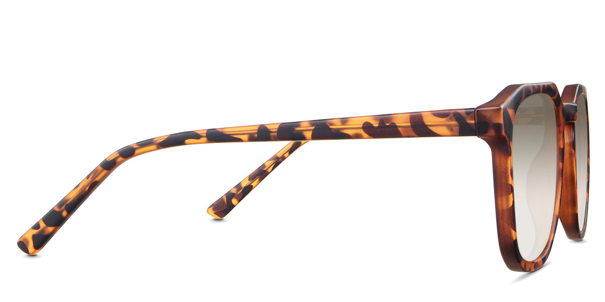 Reign Women's Prescription Tinted Sunglasses - UV Protection & Stylish Eyewear for Outdoor Activities, Driving, and Fashion