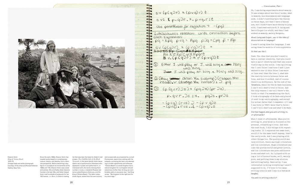 Kathy Acker Book - Get Rid of Meaning for Literary Studies