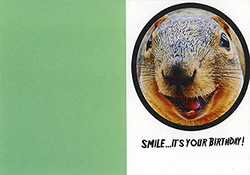 Funny Squirrel Birthday Card - Humorous Recycled Paper Greeting Card with Camera Lens Cover Design - Perfect for Friends, Family & Coworkers (Office Gifts, Birthday Parties)