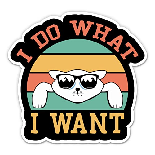 I Do What I Want Funny Cat Stickers - 2 Pack Waterproof Vinyl Decals for Car, Phone, Laptop, Water Bottle - Cool Lazy Cat Design - Perfect for DIY Decor, Gifts & Personalizing Your Belongings