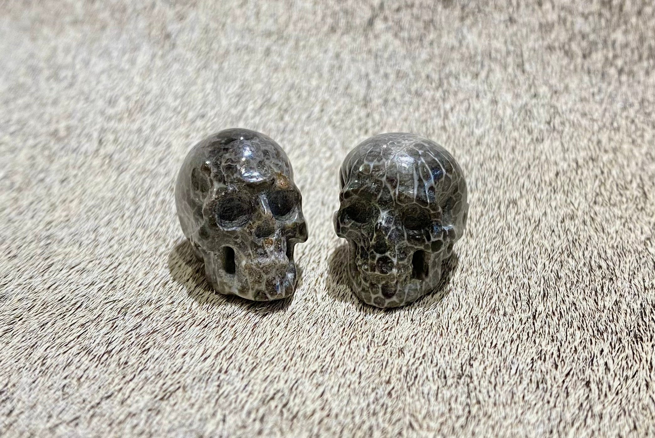 Fossil Coral Skull Necklace - Handmade Jewelry for Men & Women - Unique Gothic Style Pendant - Perfect for Halloween, Cosplay & Alternative Fashion