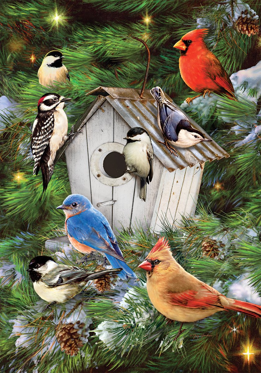 Winter Bird House Decor - Double-Sided Flag, 28x40 Inch for Home & Garden