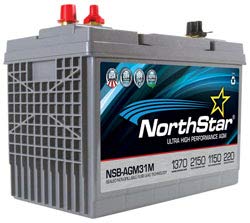 Technical Precision C3110AP Replacement Battery for CENTENNIAL BATTERIES - Compatible with Medical Devices, Security Systems & Industrial Equipment