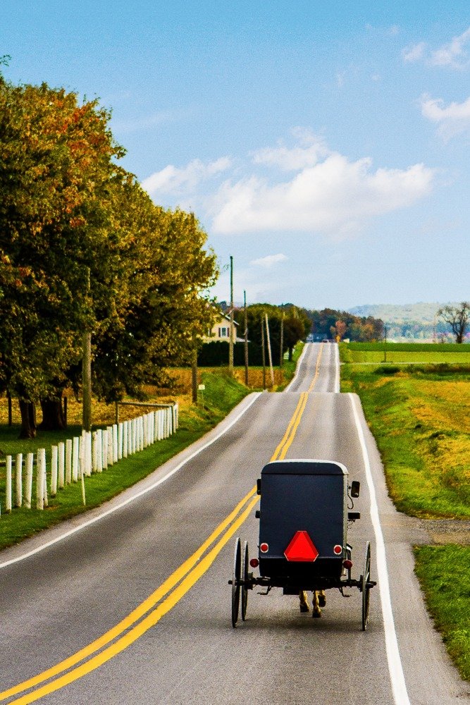 Amish Buggy on Country Road 75182 - Signed 24x36 Art Print, Wall Decor Poster for Living Room, Bedroom & Office - Vintage Farmhouse Style Home Decor