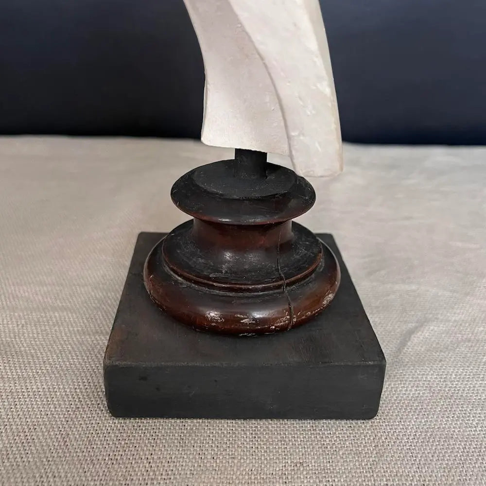 Lucio Vero Bust - Ancient Roman Plaster Statue Replica for Home Decor, Office Display & Historical Collections