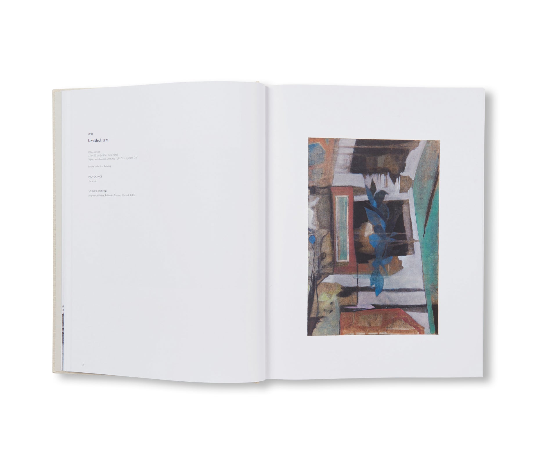 Luc Tuymans: Catalogue Raisonné of Paintings Volume 1 (1972-1994) - Art Book for Collectors, Scholars & Museum Professionals - Perfect for Art History Research & Exhibition Reference