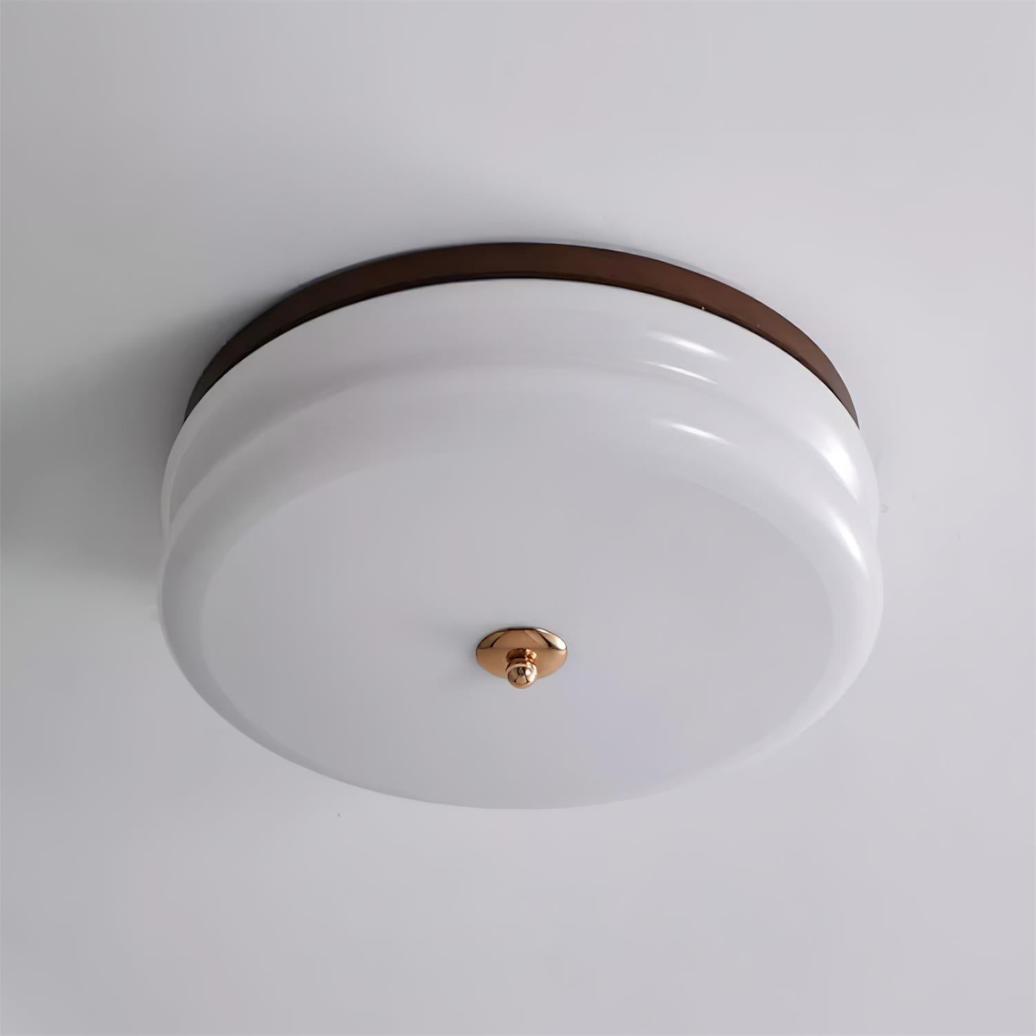 Modern Rowen Ceiling Light Fixture - Elegant LED Flush Mount Lighting for Bedroom, Living Room & Kitchen - Energy Saving Indoor Home Decor (Warm White)