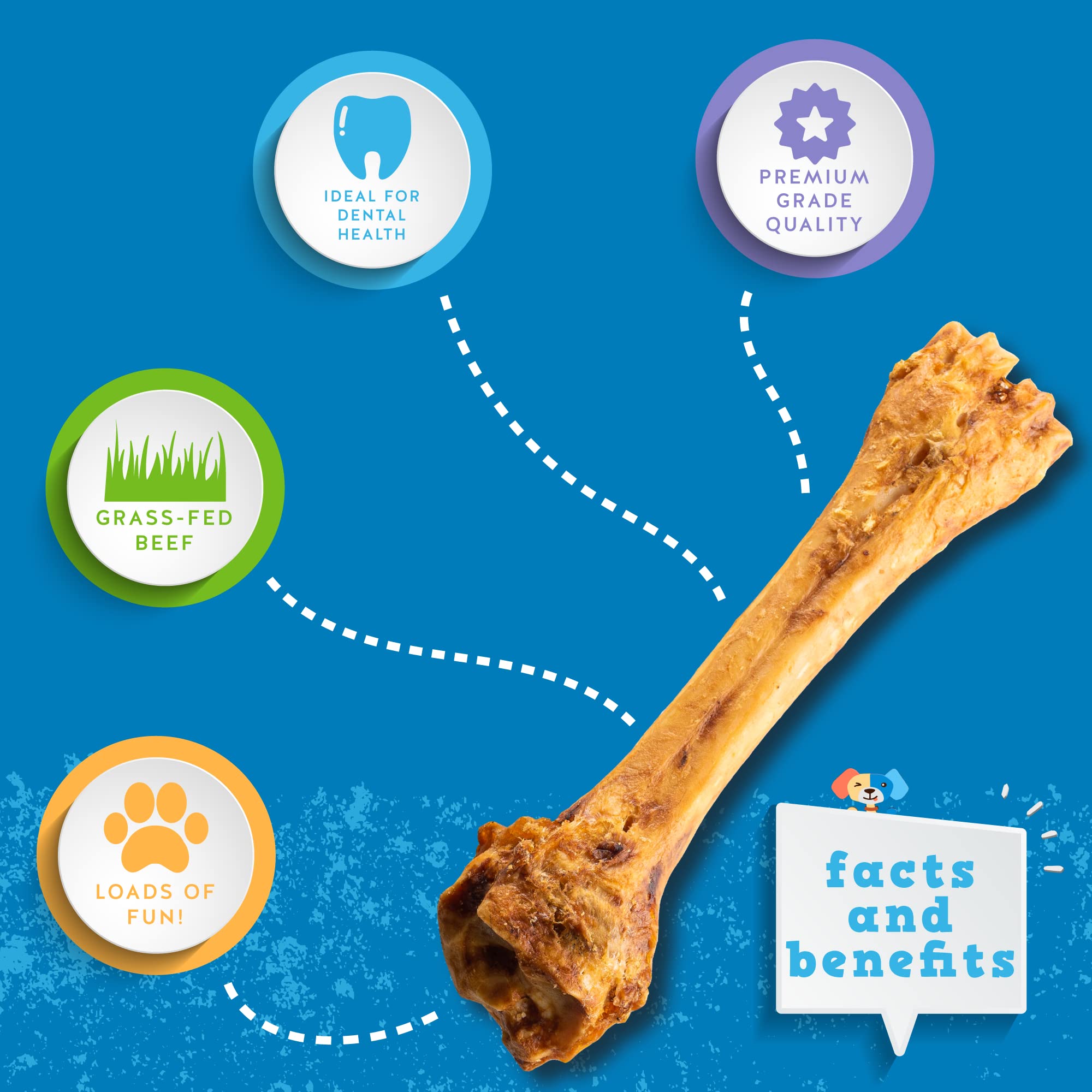 Jack&Pup Shin Beef Bones - 8-11 Inch Roasted Beef Bones for Dogs (1 Bone) | Natural Dog Chew Bones for Aggressive Chewers | Long Lasting Dog Treats for Dental Health | Perfect for Large Breed Dogs & Strong Chewers - Great for Crate Training, Teething Relief & Anxiety Reduction