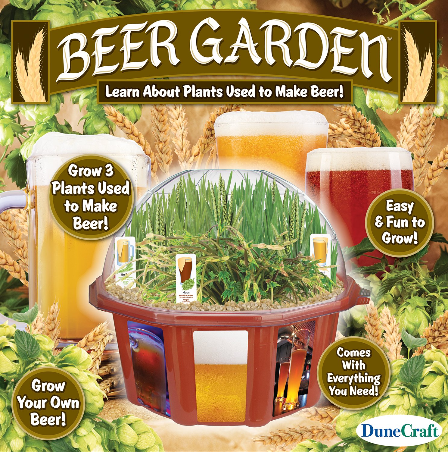 Dunecraft Beer Garden Domed Terrarium Kit - Mini Glass Greenhouse for Plants, Succulents & Herbs - Perfect for Home Decor, Office Desk & Indoor Gardening