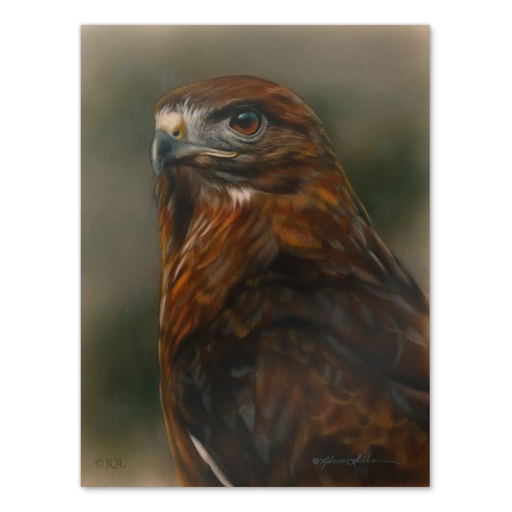 Red-Tailed Hawk Raptor Portrait Wall Art - Premium Wildlife Poster for Home & Office Decor - Perfect for Living Room, Bedroom, or Study Room Décor