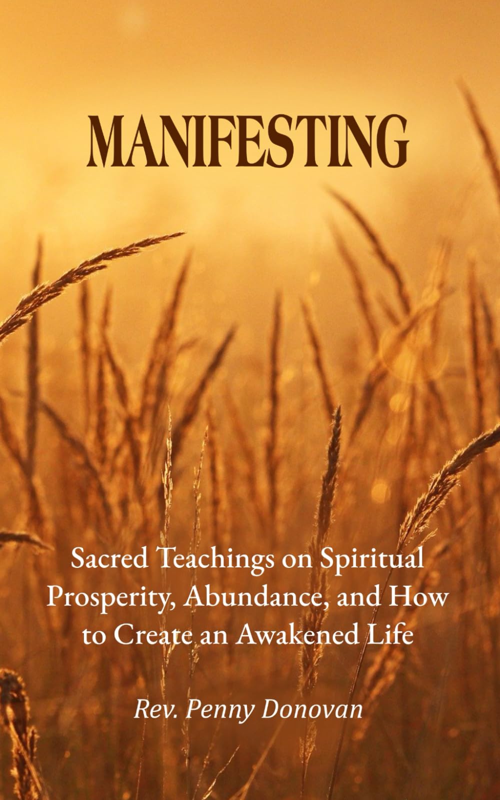 Manifesting: Sacred Teachings on Spiritual Prosperity, Abundance & Creating an Awakened Life | Law of Attraction, Meditation & Daily Mindfulness Practices