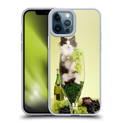 Cat In A Wine Glass With Grapes