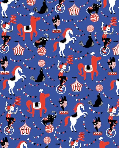 Clown Circus43