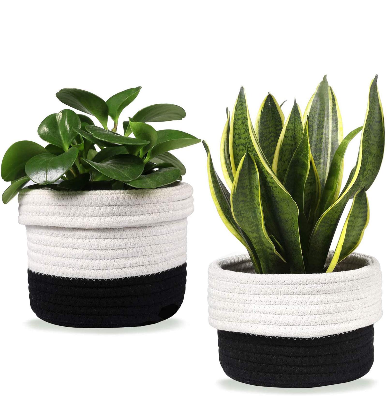 LEEPES 2-Pack 6.5