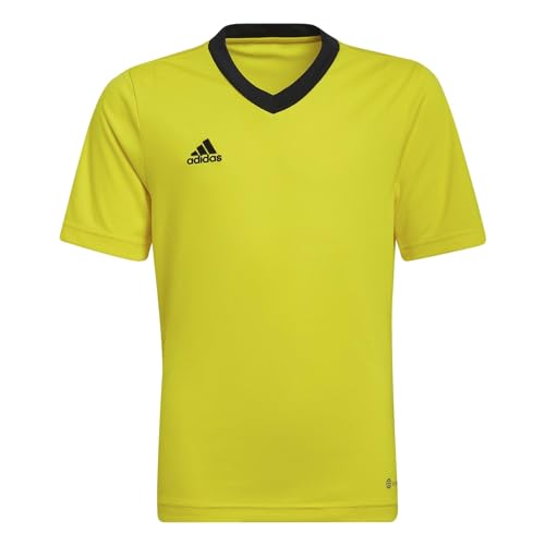 Team Yellow/Black