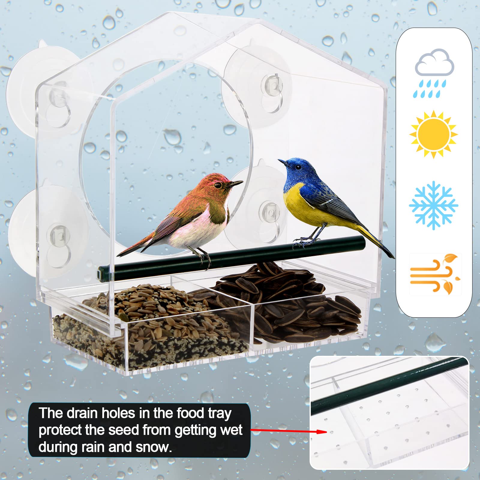 Clear Acrylic Window Bird Feeder with 4 Strong Suction Cups - Removable Drain Hole Tray, Easy to Install & Clean - Perfect for Backyard Bird Watching & Nature Lovers