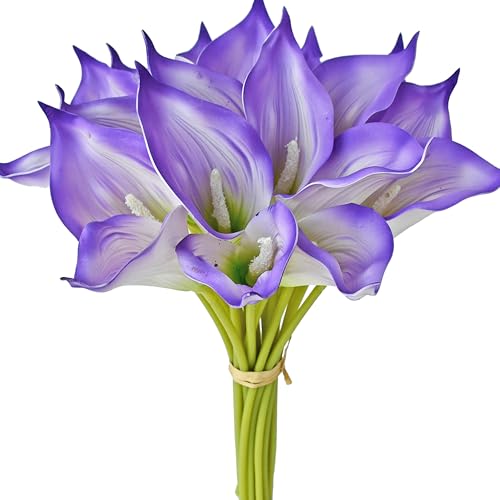 Gradient Purple