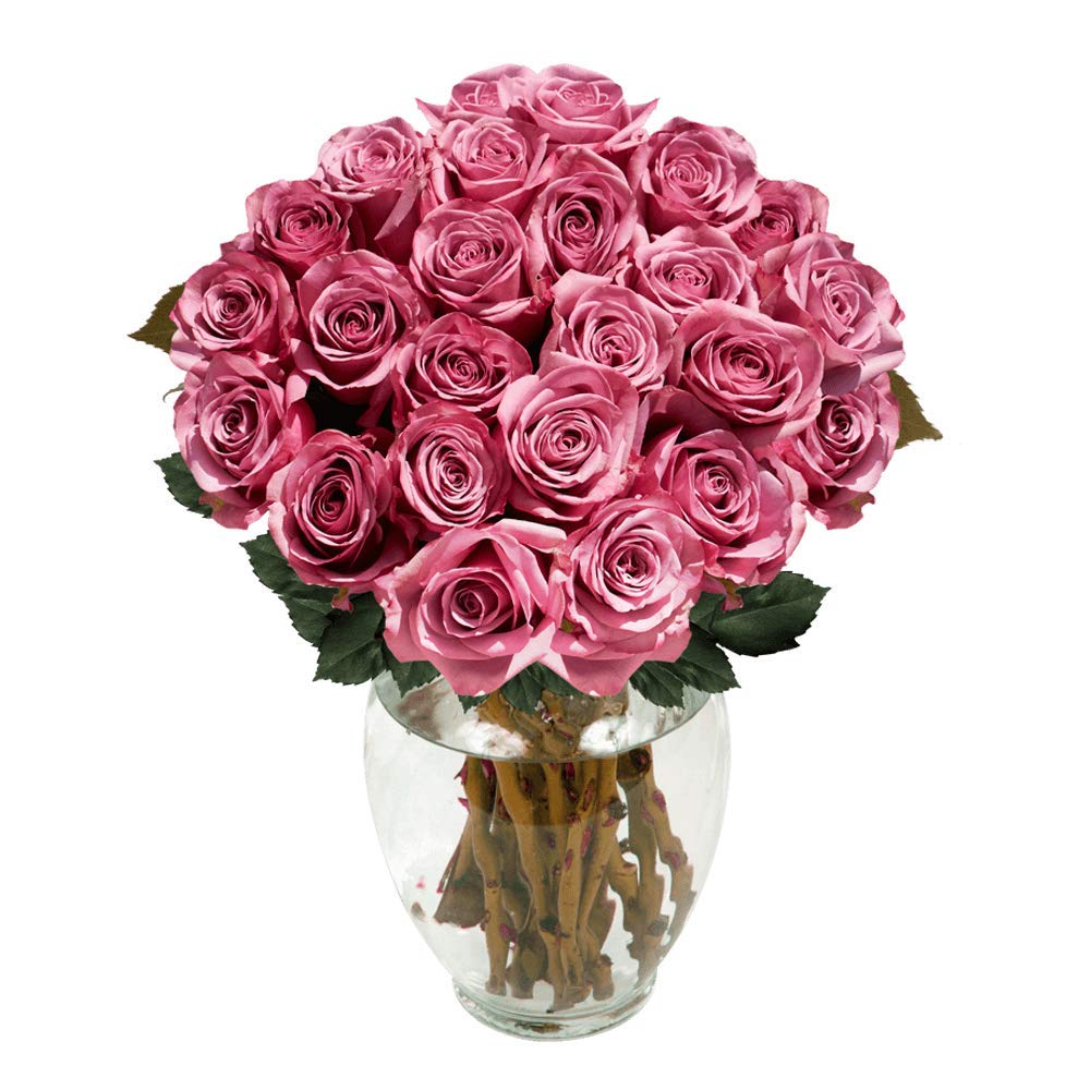 Fresh Cut Lavender Roses - 250 Stems (10 Bundles of 25) | Premium Long-Lasting Flowers for Weddings, Birthdays, Anniversaries & Home Decor | Perfect for Mother's Day Gifts, Bridal Showers & Romantic Centerpieces