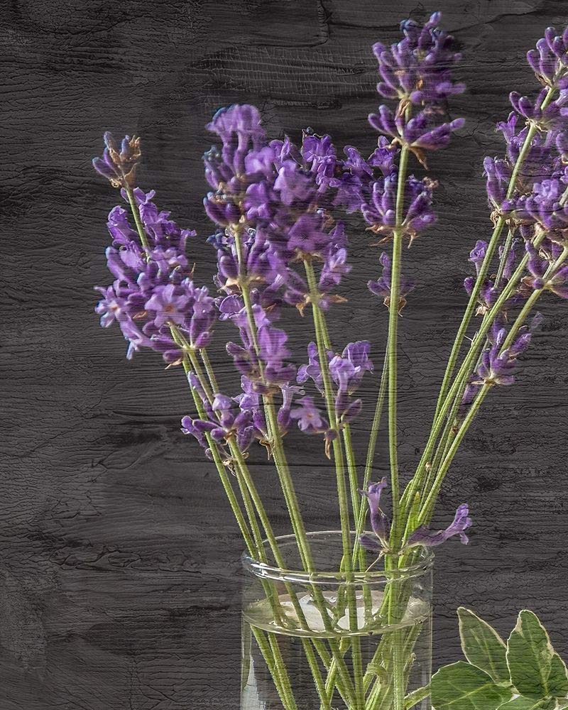 Allen Kimberly Lavender Jar Poster Print - 24x36 Inch Multicolor Wall Art for Home, Office & Bedroom Decor - Perfect for Living Room, Bathroom & Kitchen Aesthetic