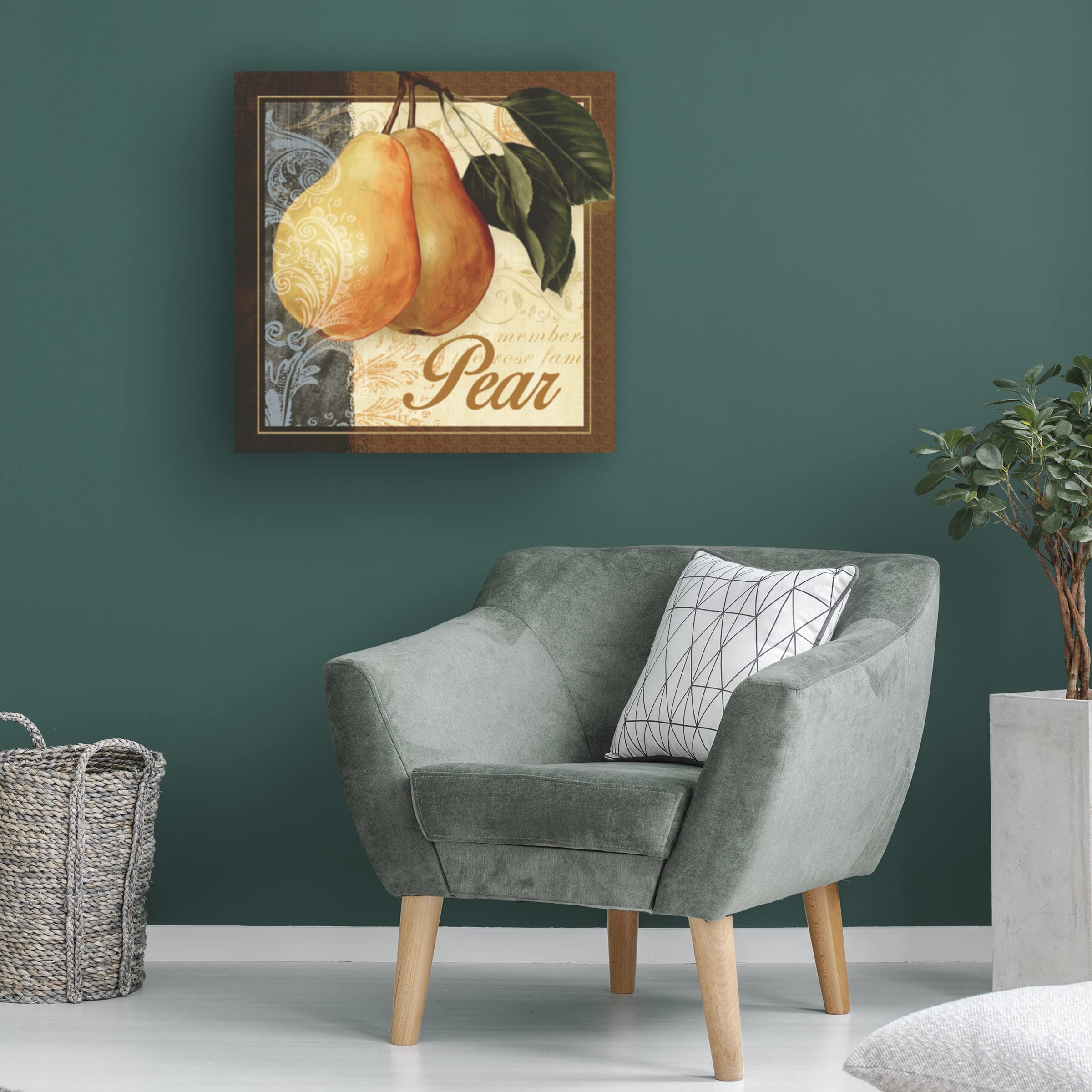 Abby White 'Fruit Illustration III' Canvas Wall Art Print - Modern Kitchen Decor, Dining Room Painting, Fruit Still Life Artwork for Home & Office
