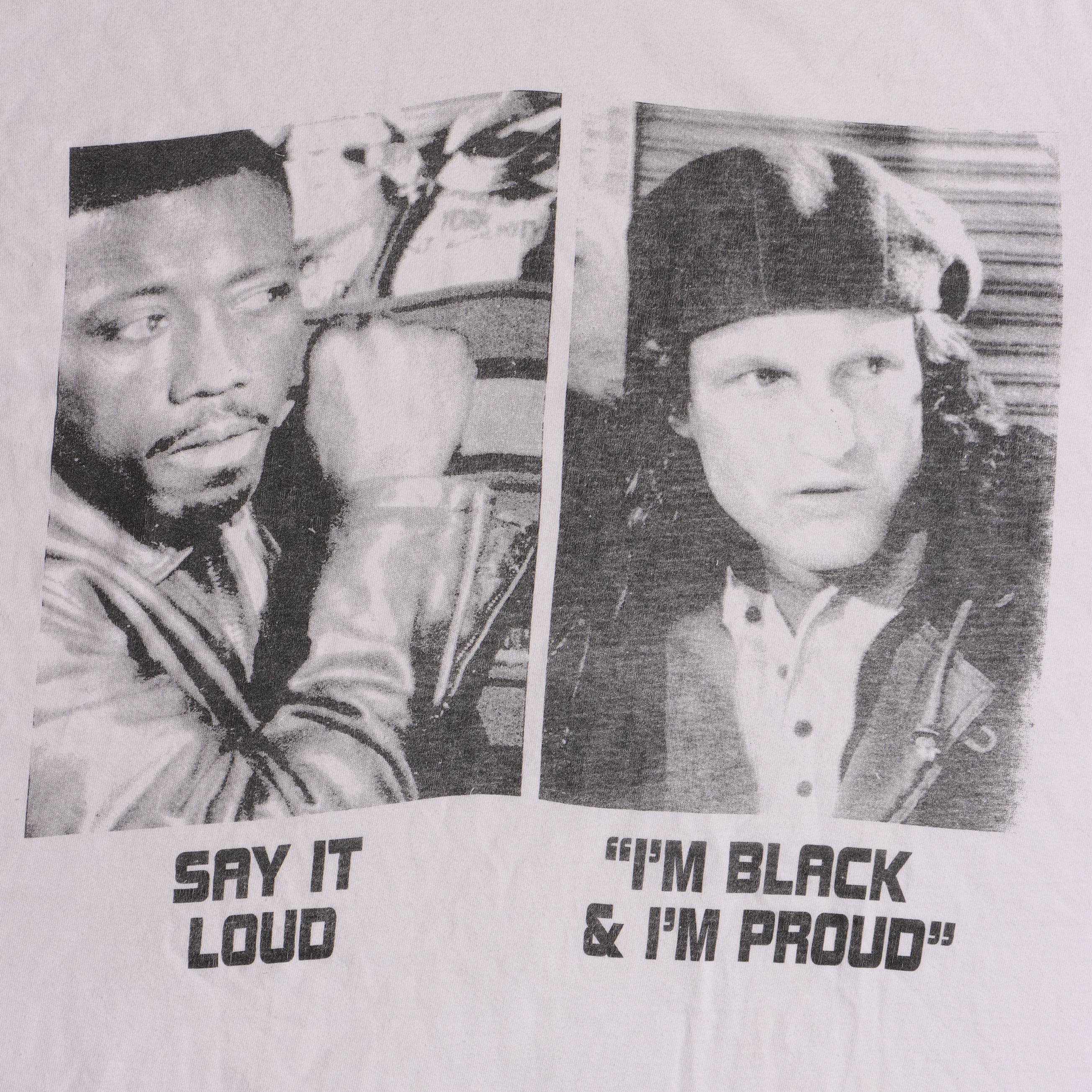 Say It Loud I'm Black and Proud
