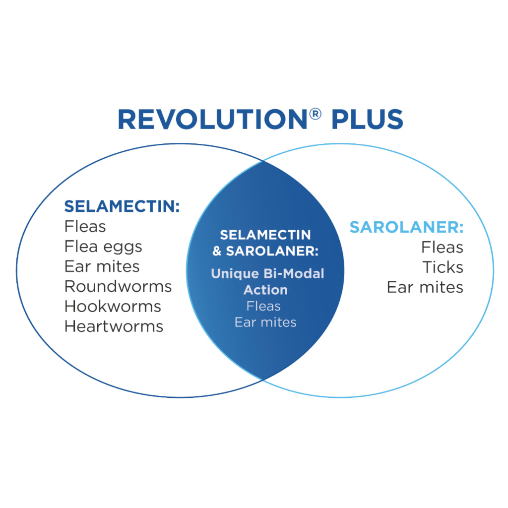FDA Approved Revolution for Dogs & Cats - Flea & Worm Prevention Topical Treatment | Vet Recommended Spot-On Solution for Puppies, Kittens & Adult Pets | Home & Travel Protection