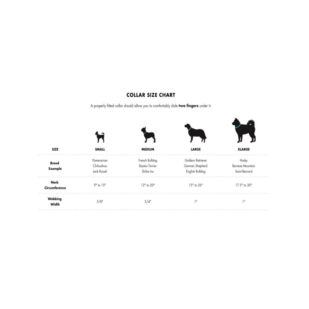 Ikonic Aqua Waterproof Dog Collar - Durable Nylon Reflective Pet Collar for Small Medium Large Dogs - Perfect for Swimming, Hiking & Outdoor Adventures